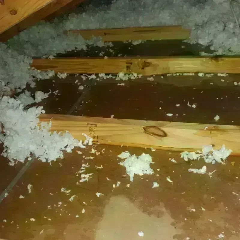 Attic Water Damage in Etna, OH